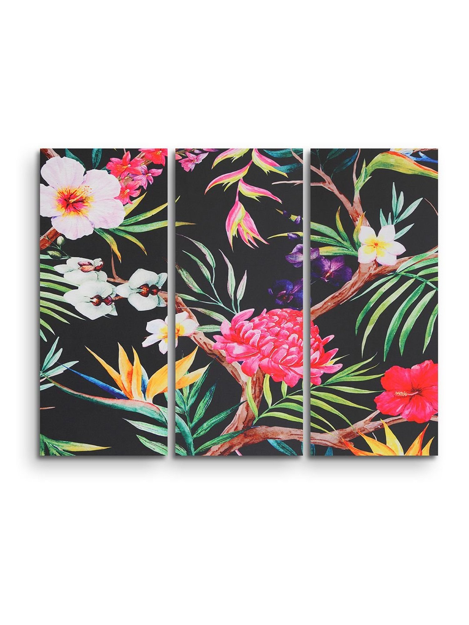 SEJ by Nisha Gupta Multicolor Framed Wall Arts - Set of 3