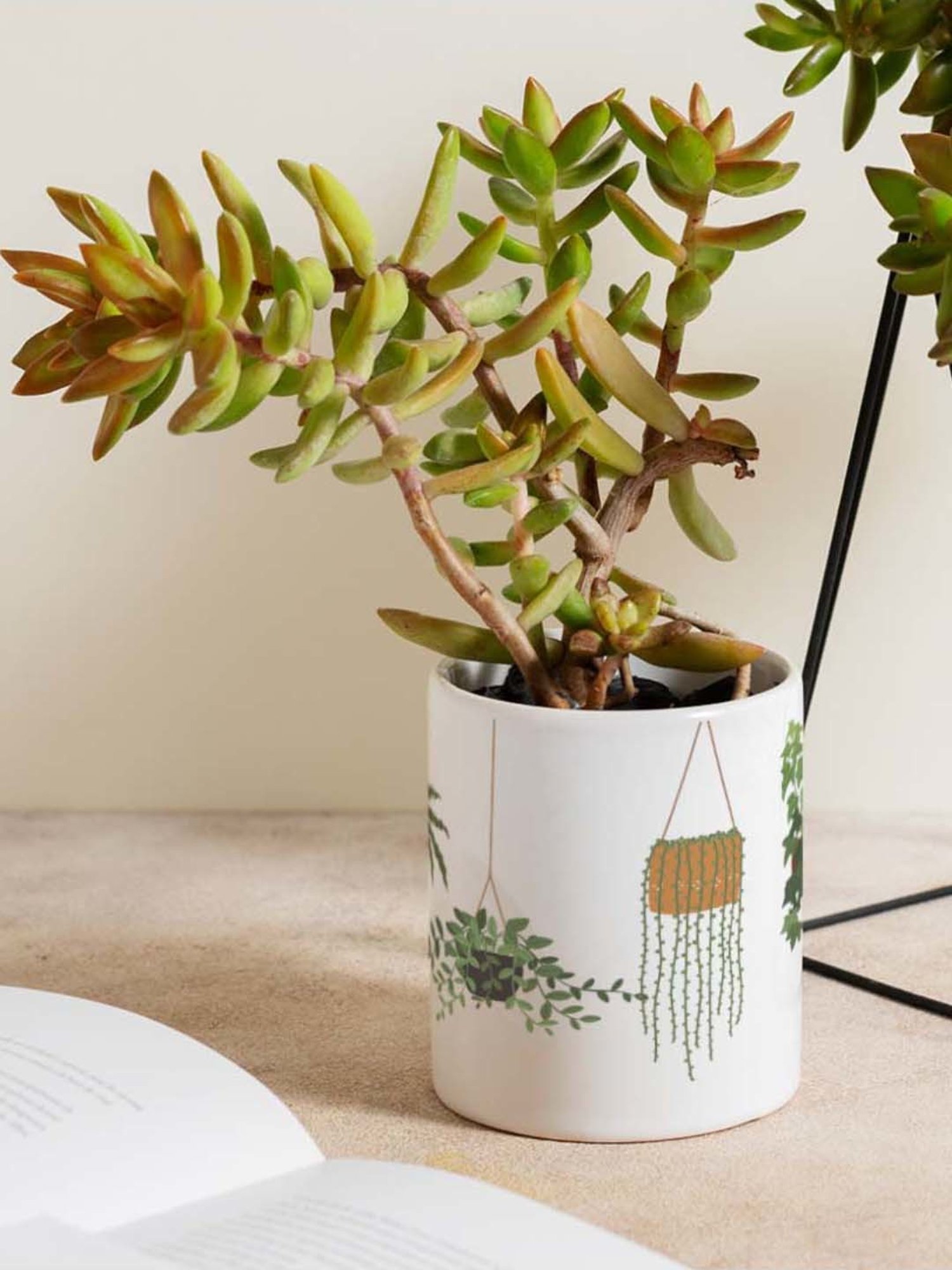 Gathari White & Green Ceramic Desk Planter