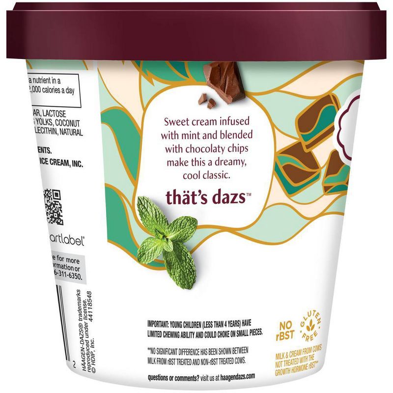 Haagen-Dazs Mint Chip Ice Cream - 14oz