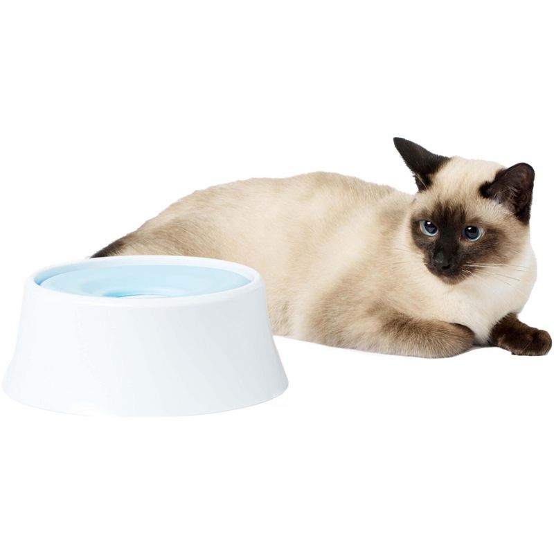 PawsMark Anti-Splash Dripless Drinking Water Slow Feeder Dispenser Car Bowl for Pets