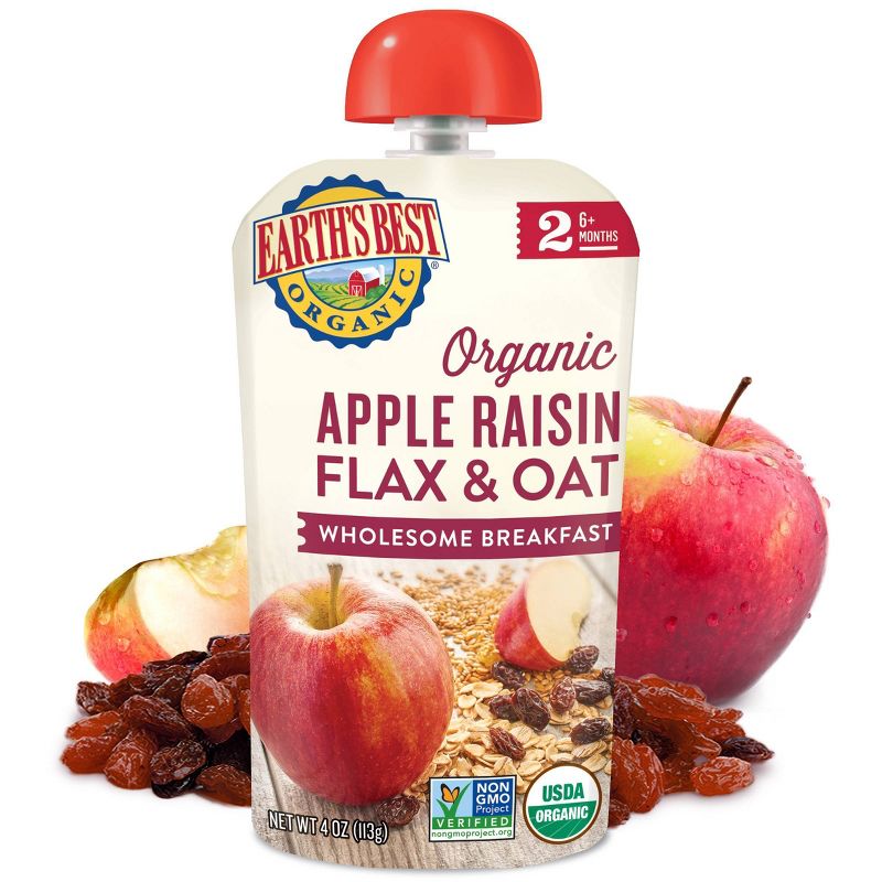 Earth's Best Organic Apple Raisin Flax & Oat Baby Food Pouch - 4oz