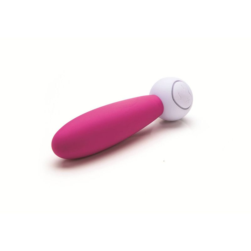 Lovelife by OhMiBod Discover Intimate Massager