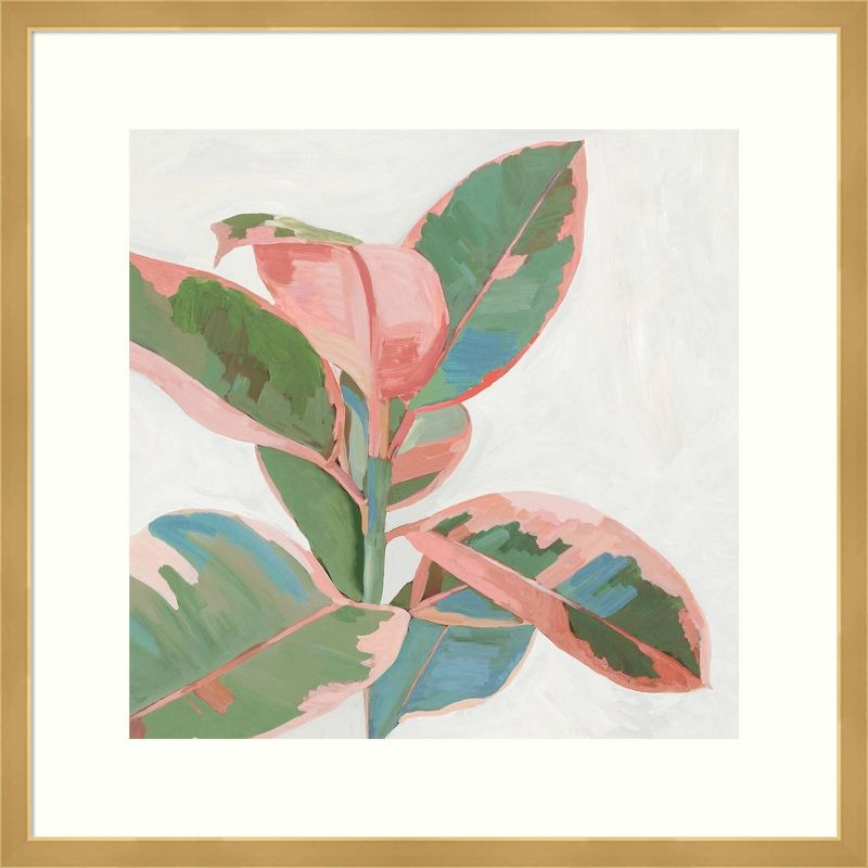 21" x 21" Ficus I by Asia Jensen Framed Wall Art Print Pink - Amanti Art