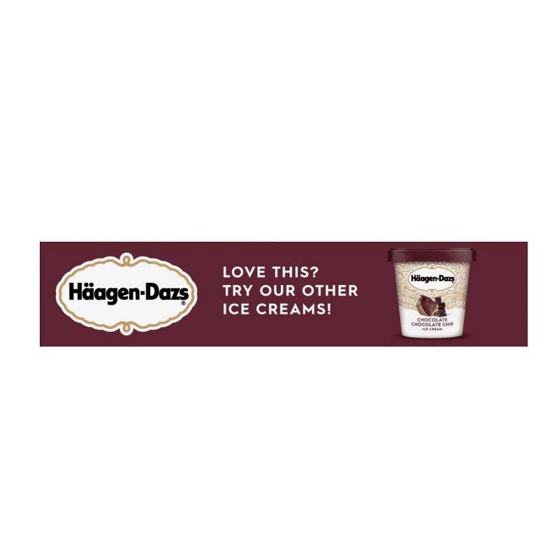 Haagen-Dazs Chocolate-Dark Chocolate Ice Cream Bar - 3pk