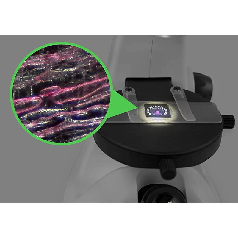 USB 2.0 800x Inverted Digital Optical USB Microscope for Windows, Mac, Linux, and Android (2MP, True 800x Magnification)