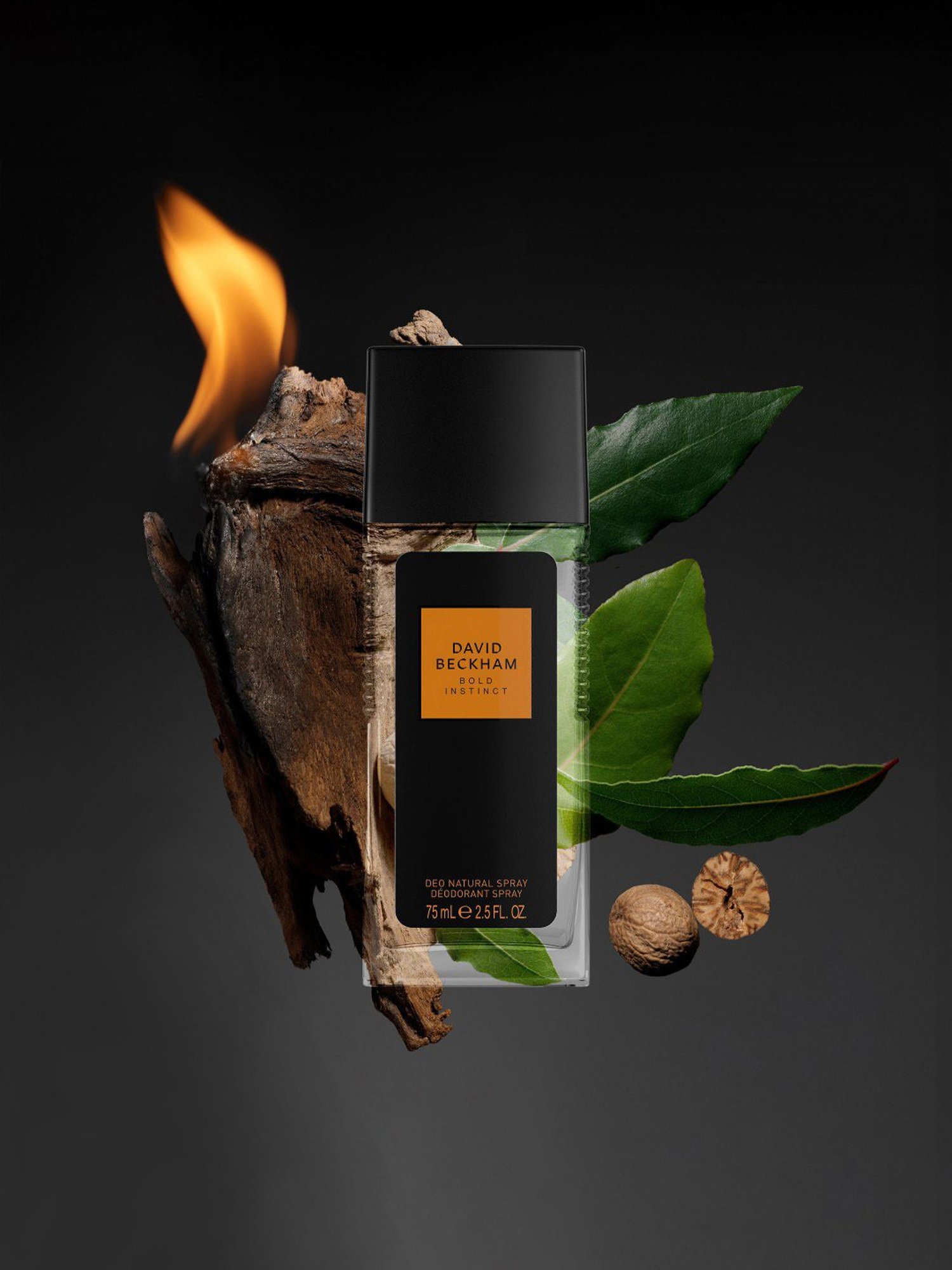 David Beckham Bold Instinct Deodorant Spray - 75 ml