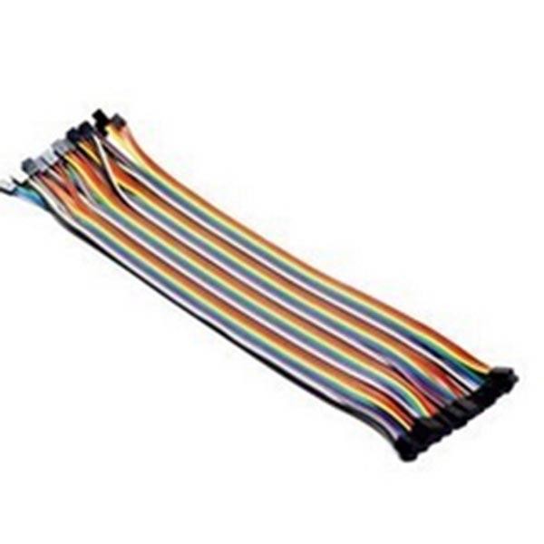 20pcs in Row Dupont Cable 20cm 2mm pitch female to female 2P to 2P wire NEW