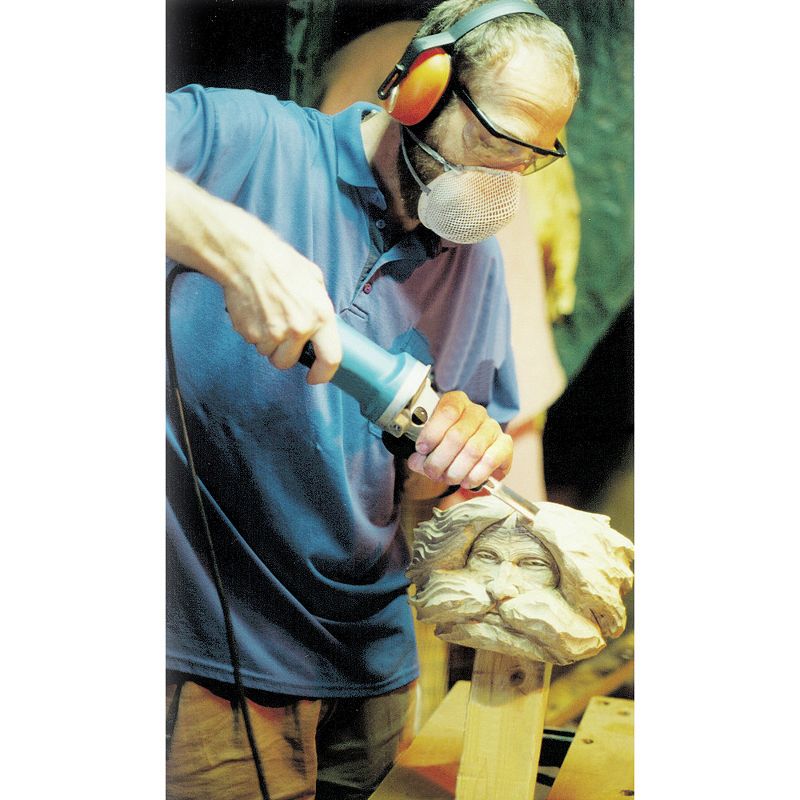 Arbortech PCH.FG.600.20 600 Watts NA Power Chisel