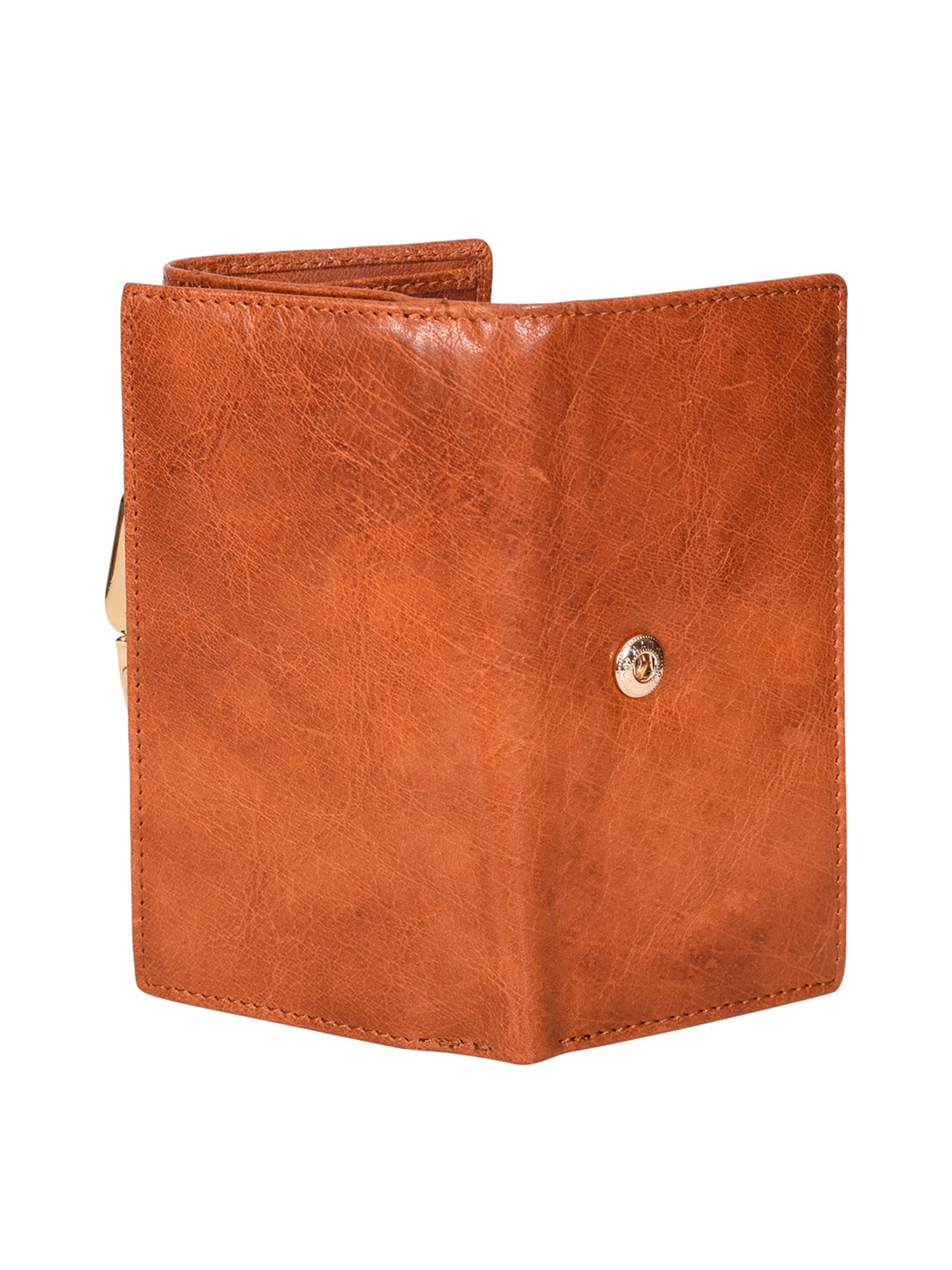 SASSORA Brown Solid Rfid Tri-Fold Wallet for Women