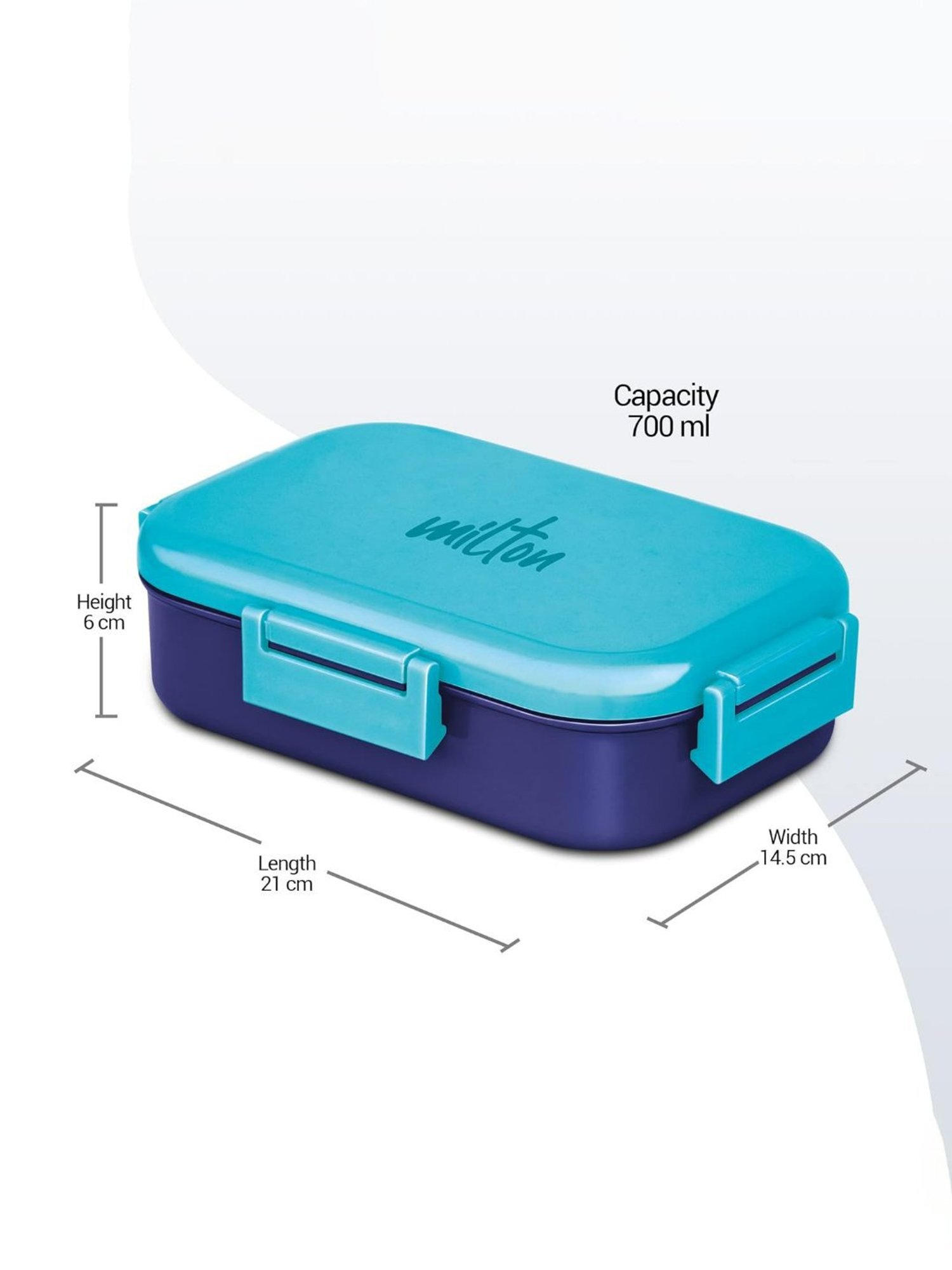 Milton Senior Flatmate Food Grade Blue Plastic or Steel Tiffin Box (700 ml)