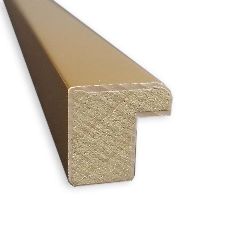 21" x 21" Ficus I by Asia Jensen Framed Wall Art Print Pink - Amanti Art