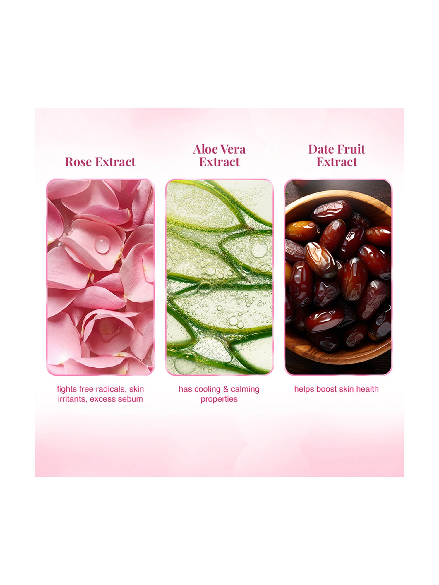 VLCC Skin Defense Rose Water Toner - Pack of 4