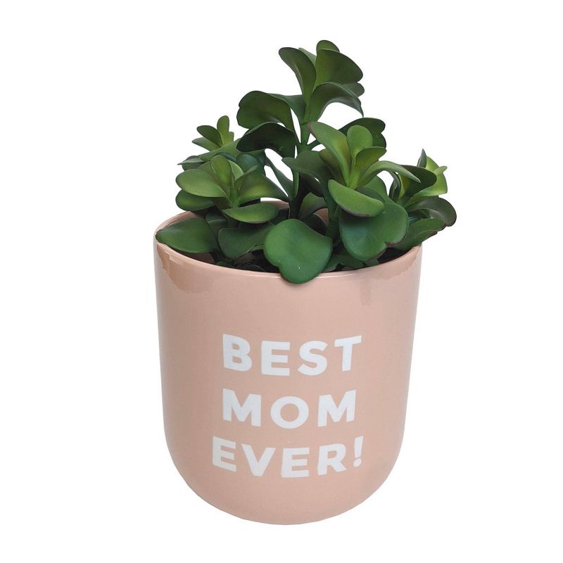 Mother's Day 'Best Mom Ever' Decorative Planter