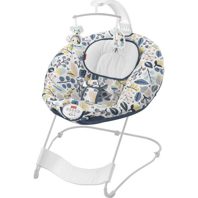 ​Fisher-Price Baby Bouncer