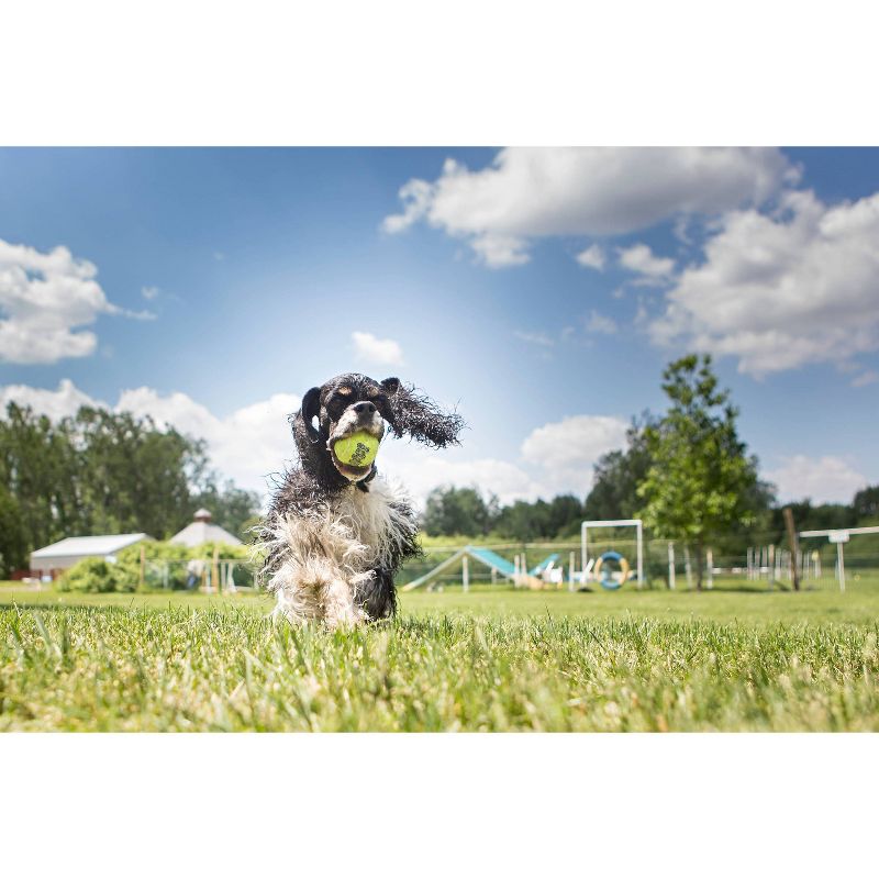 KONG SqueakAir Tennis Ball Dog Toy - Yellow - M - 4ct