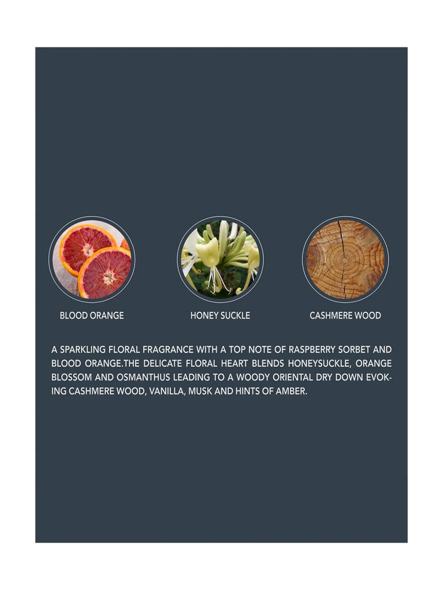 Beverly Hills Polo Club No.9 Gift Set for Women with Eau De Parfum & Deodorant Spray