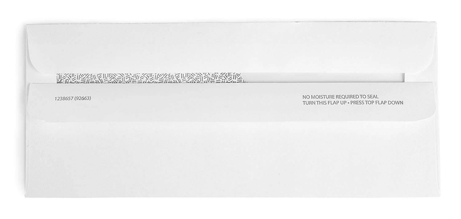 500 Double Window Check Envelopes Self Seal with Security Tint Works with all Software