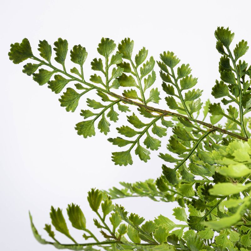 13" x 13" Artificial Fern Plant in Terracotta Pot - Threshold™ designed with Studio McGee