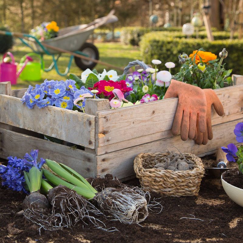 19" Steel Garden Cart Rolling Scooter Green - Pure Garden