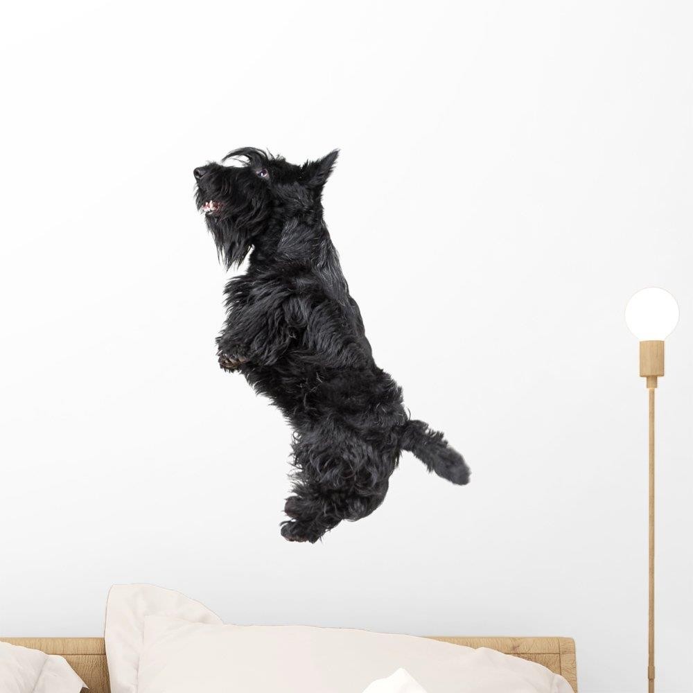 Wallmonkeys Scottish Terrier Wall Decal Peel and Stick Graphic WM25456 (18 in H x 14 in W)