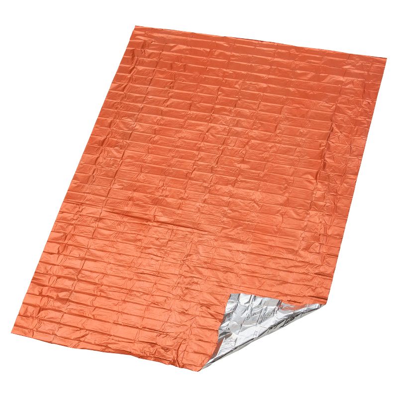 Ninola Design Fresh flowers Pink Picnic Blanket - Deny Designs