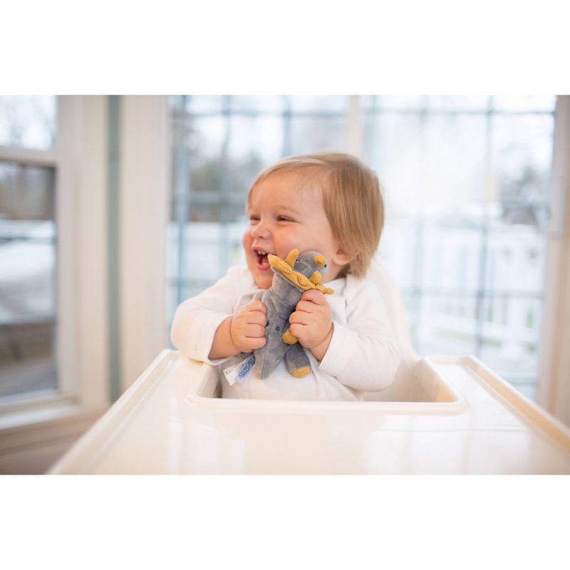Dr. Brown's Animal Lovey Pacifier & Plush Holder - Triceratops
