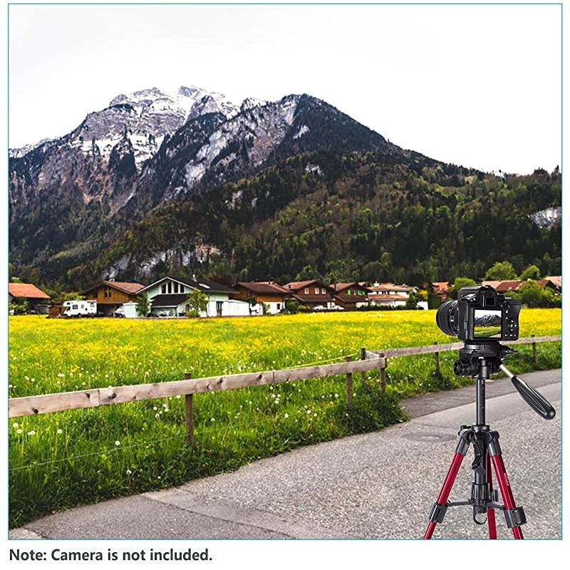 Mini Travel Tabletop Camera Tripod 24 inches/62 Centimeters, Portable Aluminum 3-Way Swivel Pan Head DSLR Camera,Smartphones,DV Video up to 6.6 pounds/3 Kilograms(T210 Red)