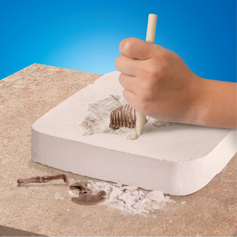 Discovery Kids Toy Dinosaur Excavation Kit Skeleton T-Rex 3D Puzzle 15pc