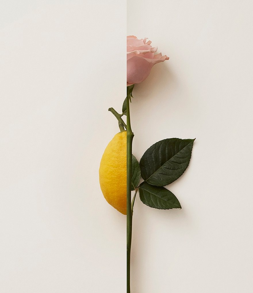 Burberry My Burberry Blush Eau de Parfum Spray