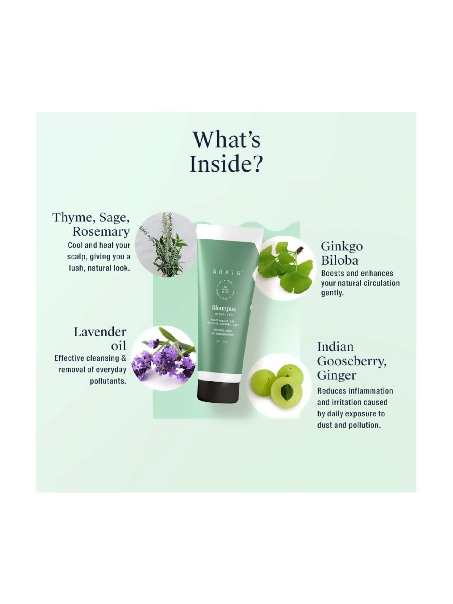 Arata Hydrating Hair Shampoo - 75 ml