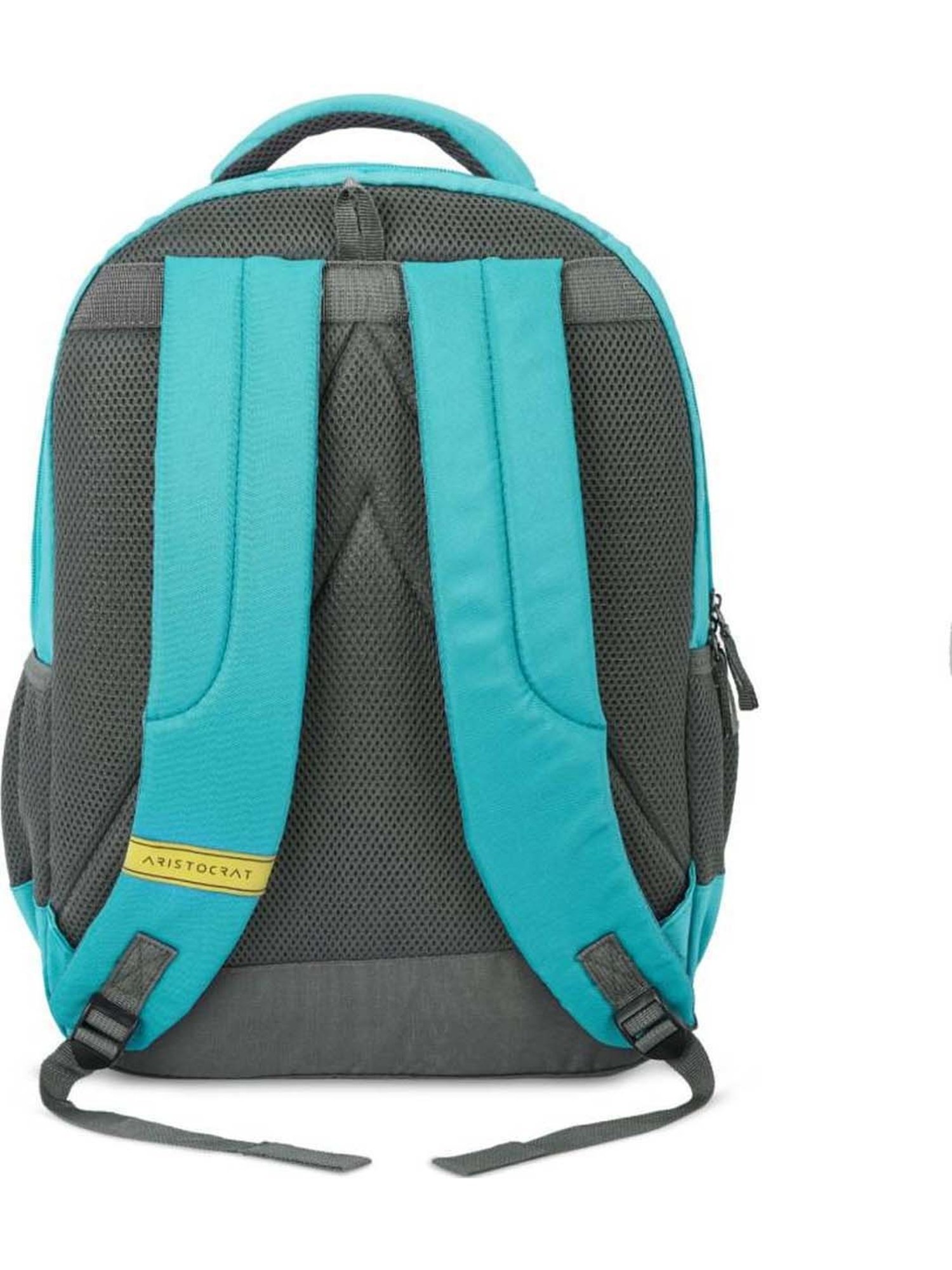 Aristocrat Kane 26 Ltrs Light Blue Medium Backpack