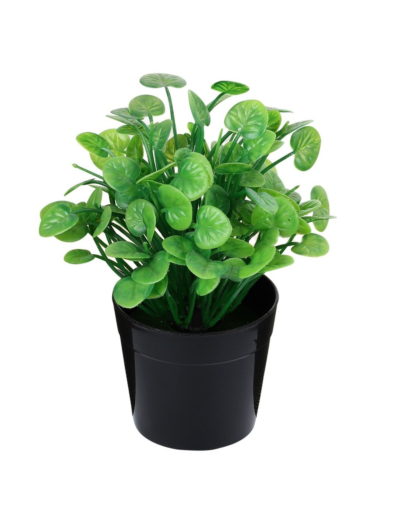 Foliyaj Multicolor Plastic Artificial Water Cress Plant with Pot