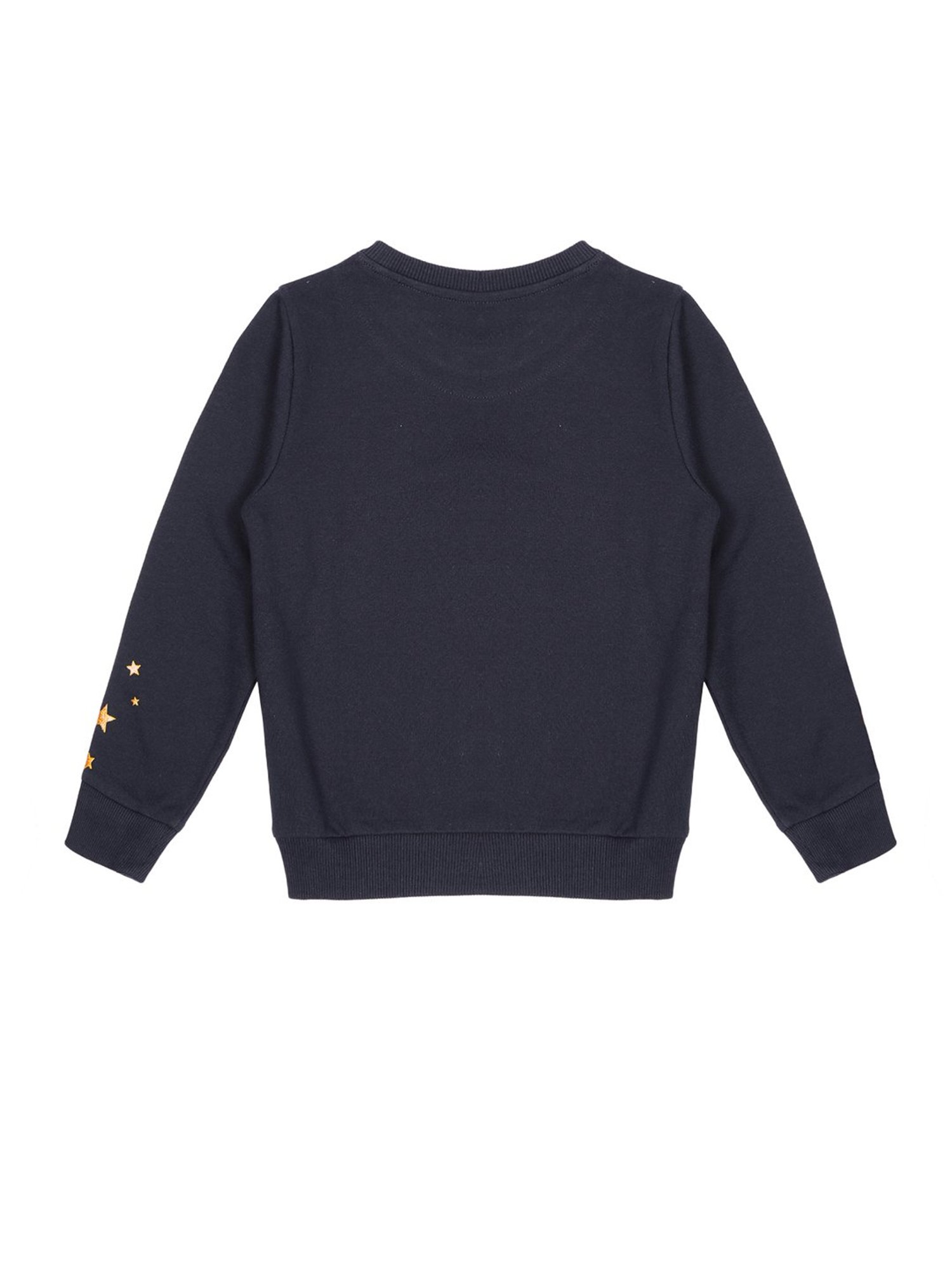 Plum Tree Kids Navy Printed Full Sleeves Sweatshirt