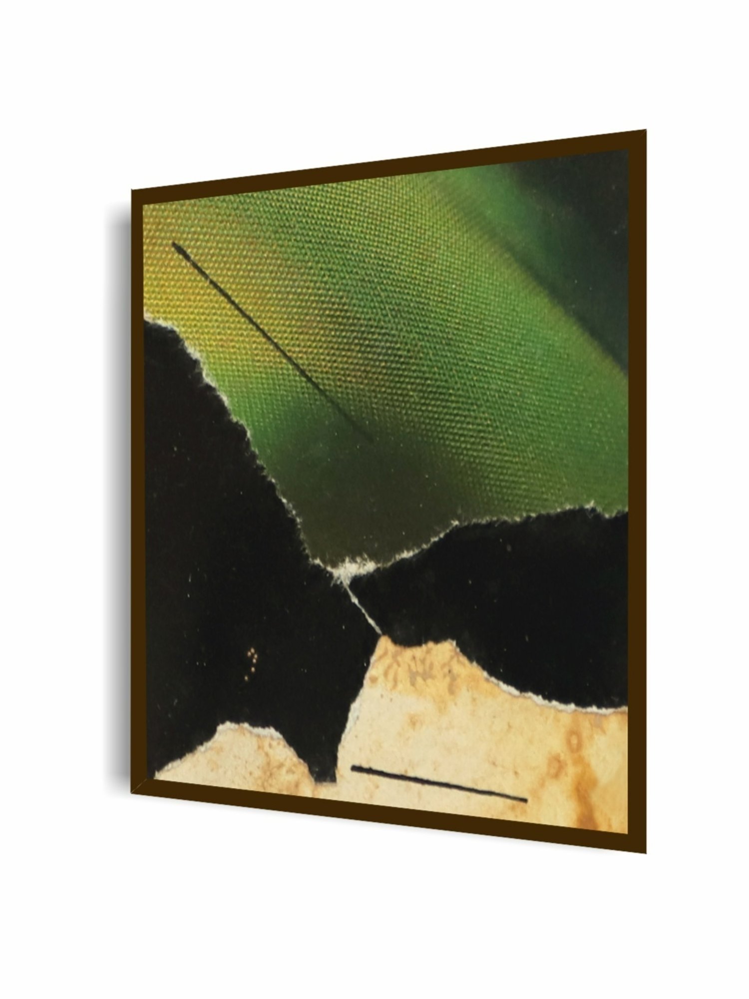 The Art House Abstract Multicolor Canvas Painting