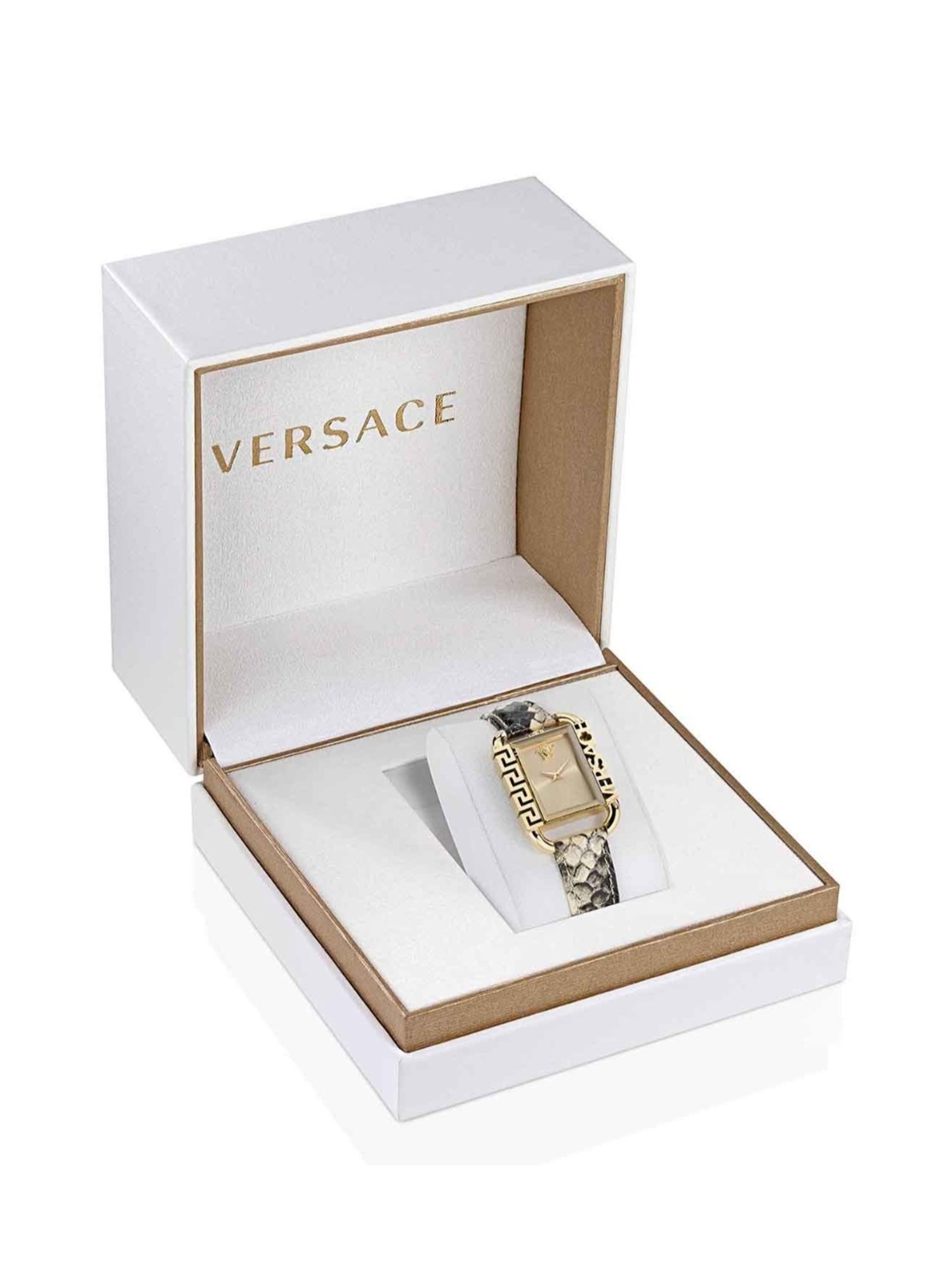Versace VE3B00122 Flair Unisex Analog Watch