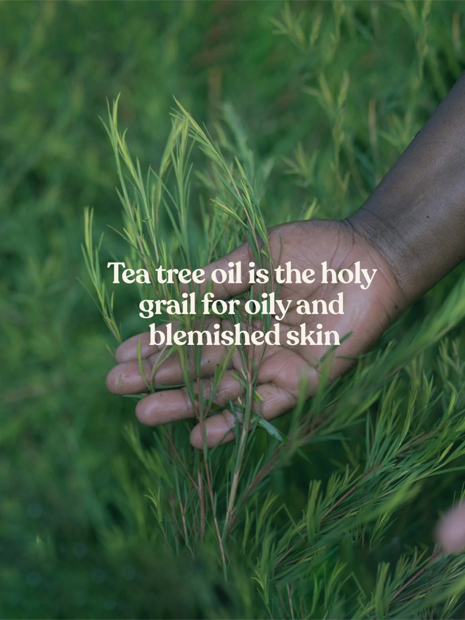 The Body Shop Tea Tree In-Control Hydrator - 40 ml