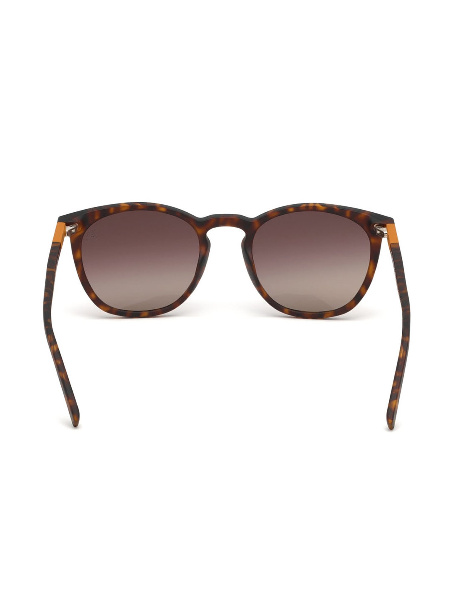 Timberland Brown Wayfarer Sunglasses for Men