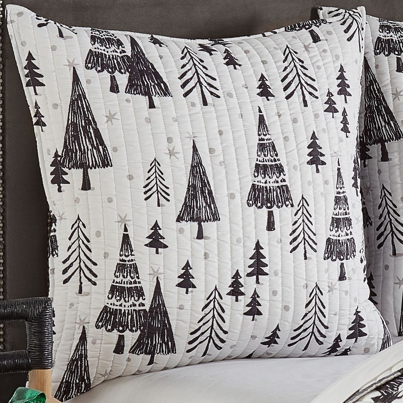 Northern Star Holiday Euro Sham Set of 2 Black - Levtex Home