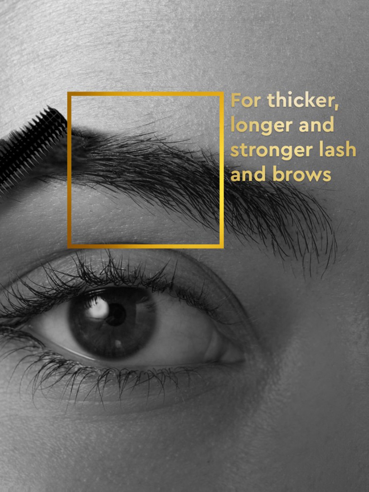 Bella Vita Organic Grow Brow Eyebrows & Eyelash Hair Growth & Volume Oil - 12 ml