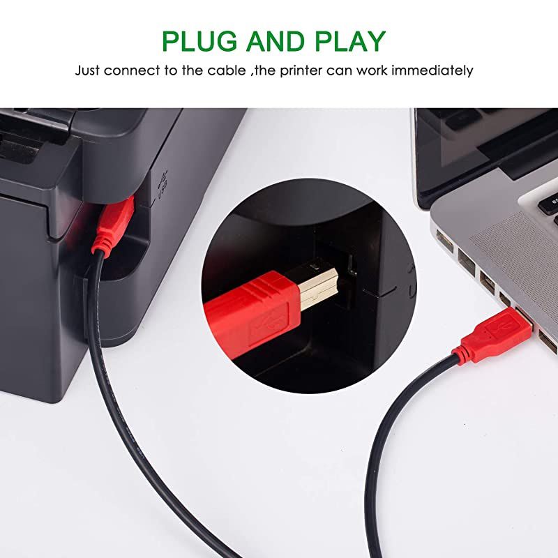 Printer Cable1ft 2Pack USB Printer Cable  USB 20 Printer Scanner Cable USB Type A Male to B Male Cord for HP Canon Dell Lexmark Epson Xerox Samsung More Red