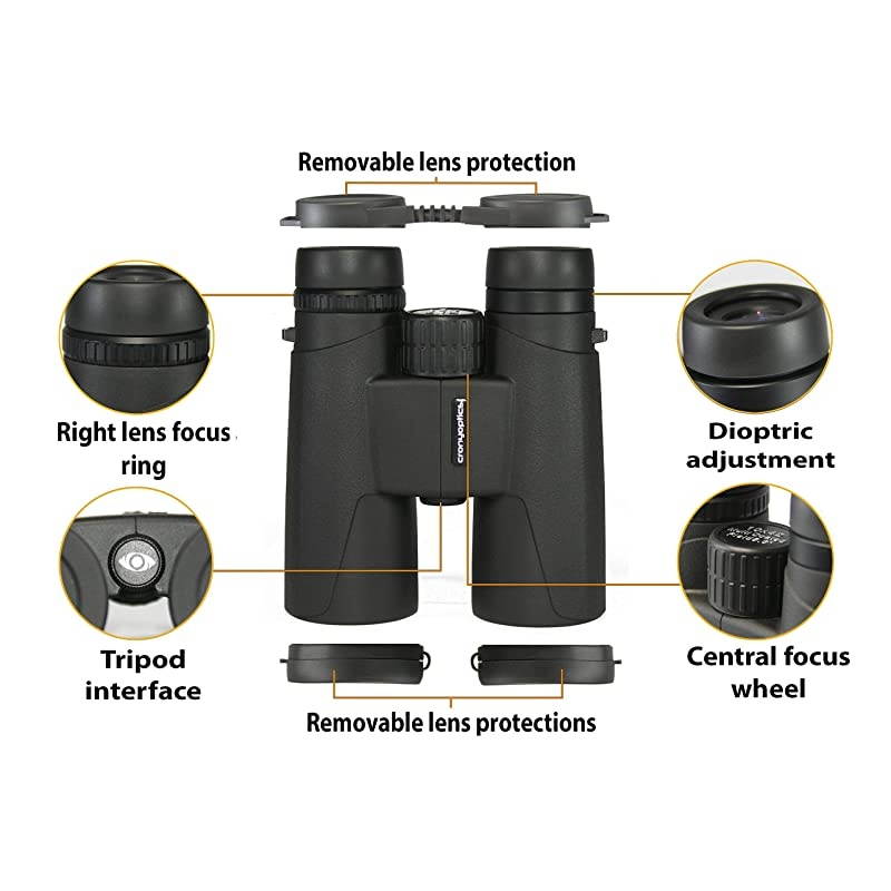 Binoculars for Bird Watching &ndash; Premium Bird Watching Binoculars for Adults - Lightweight Binocular kit for Birding - 10x42 Long Range and High Powered Binoculars