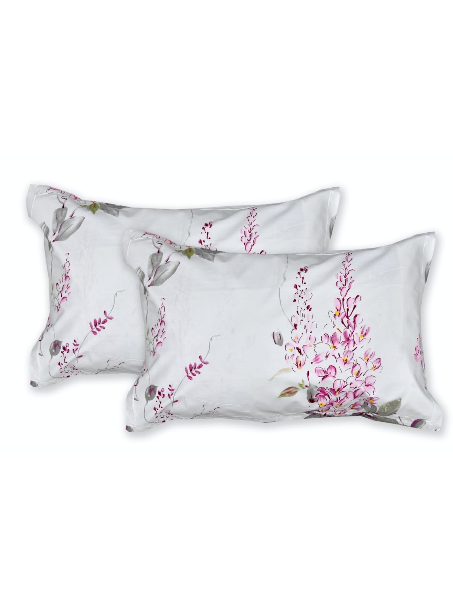 Haus & Kinder Garden Floral Magic White & Pink 186 TC Cotton Queen Bed Sheet with 2 Pillow Covers