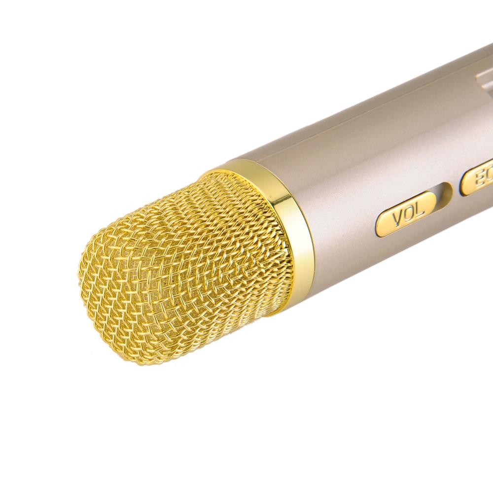 Karaoke Microphone with Built-in Speaker and Rechargeable Battery