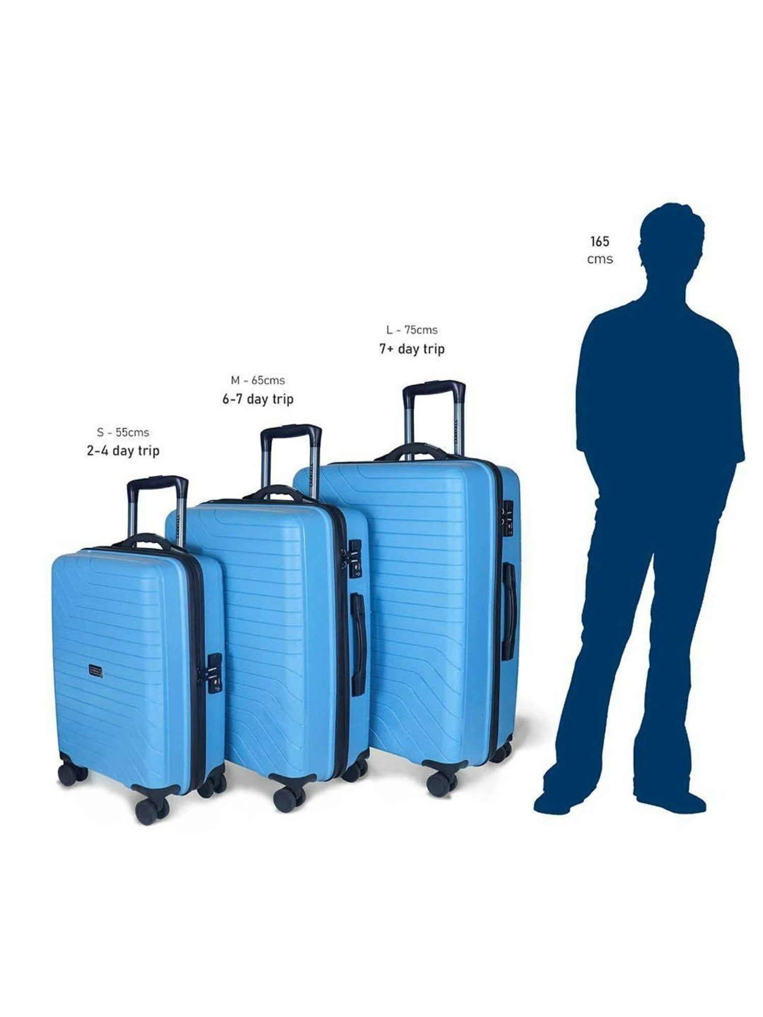 Carriall Groove Blue Striped Hard Trolley Bag Pack of 2 - 65cms & 75cms