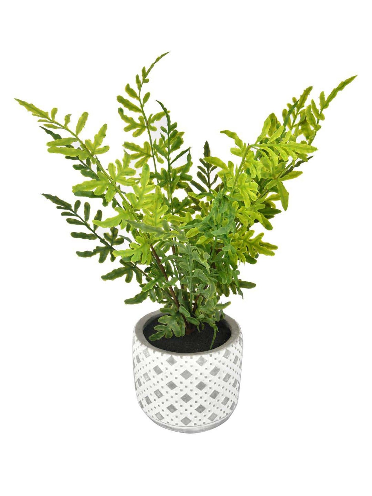 Tayhaa Grey & Green Ceramic Diamon Patterned Pot With Artificial Fern