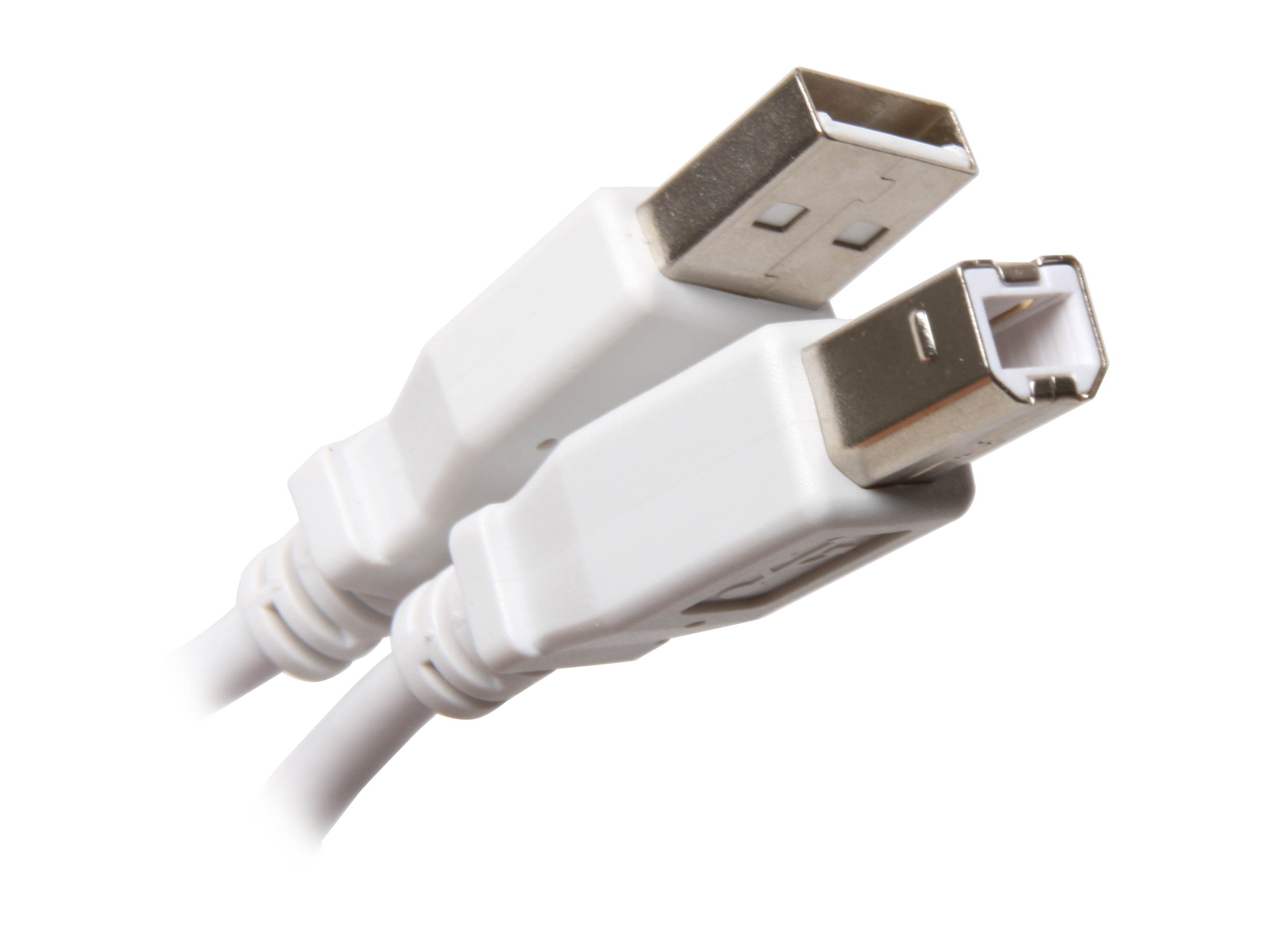BYTECC USB2-3AB-W Type A Male to Type B Male Cable