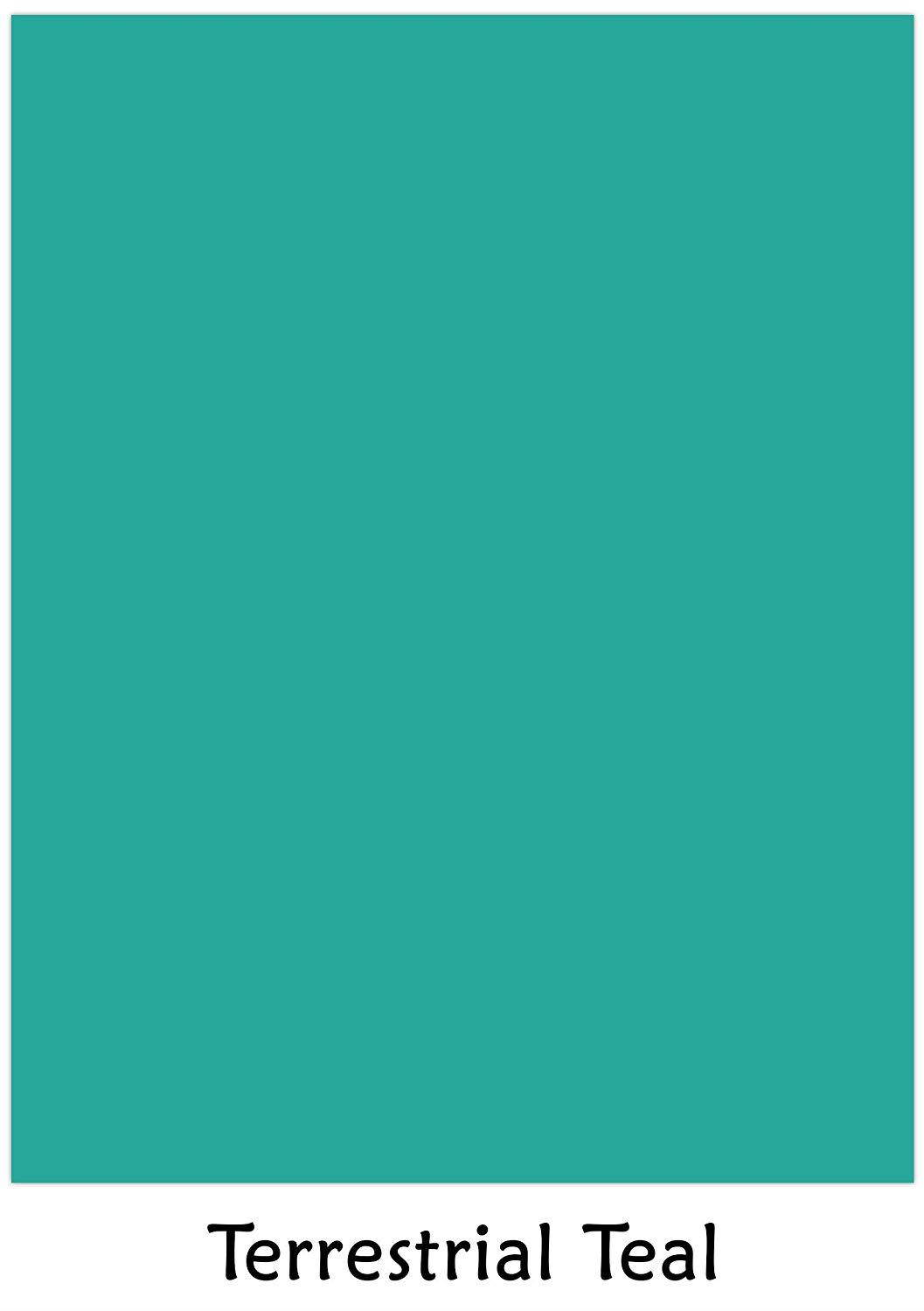 Neenah Astrobrights Premium Color Card Stock, Paper 65 Lb Cover/Cardstock - 250 Sheets Per Pack/1 Ream (8.5 x 11, Terrestrial Teal)
