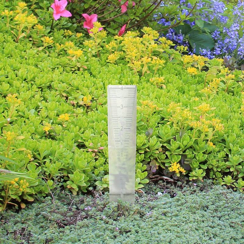 La Crosse Technology Basic Rain Gauge