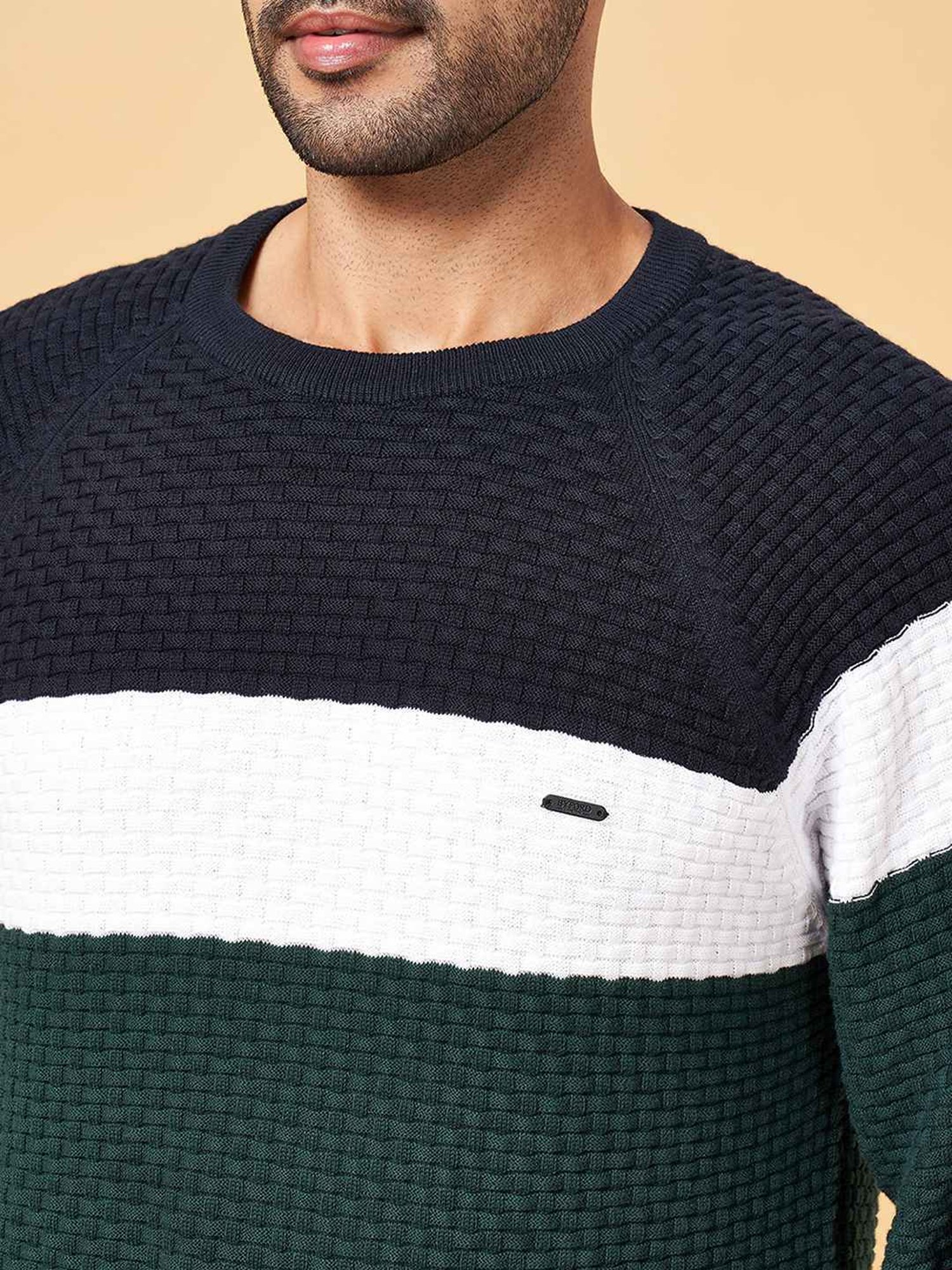 Byford by Pantaloons Multicolored Cotton Slim Fit Colour Block Sweater