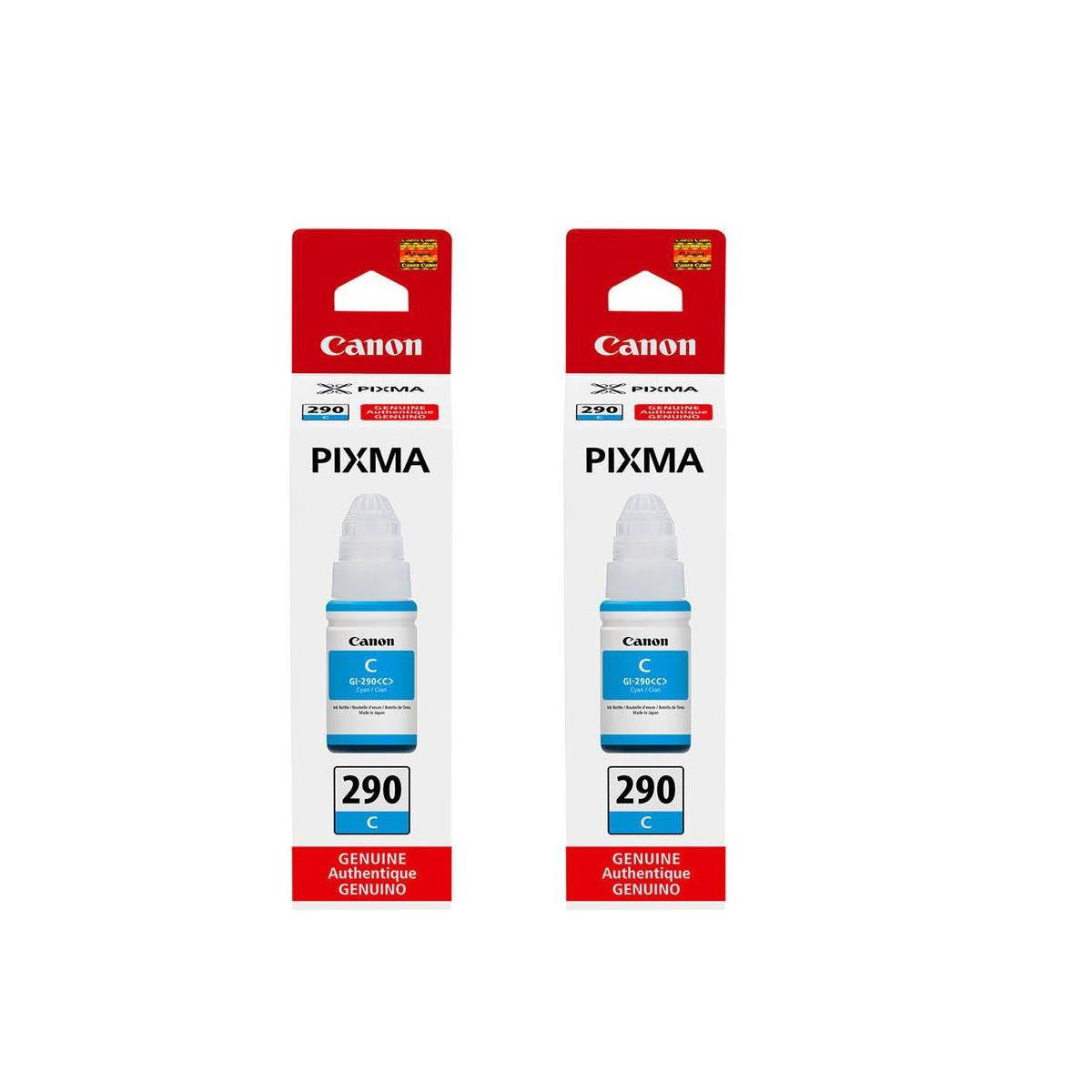 Canon 2 Pack GI-290 Cyan, Pigment Ink Bottle for MegaTank Printers, 70 ml.